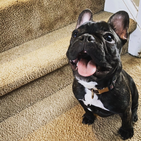 Meet your Posher, Sara - Picture 3 of 3